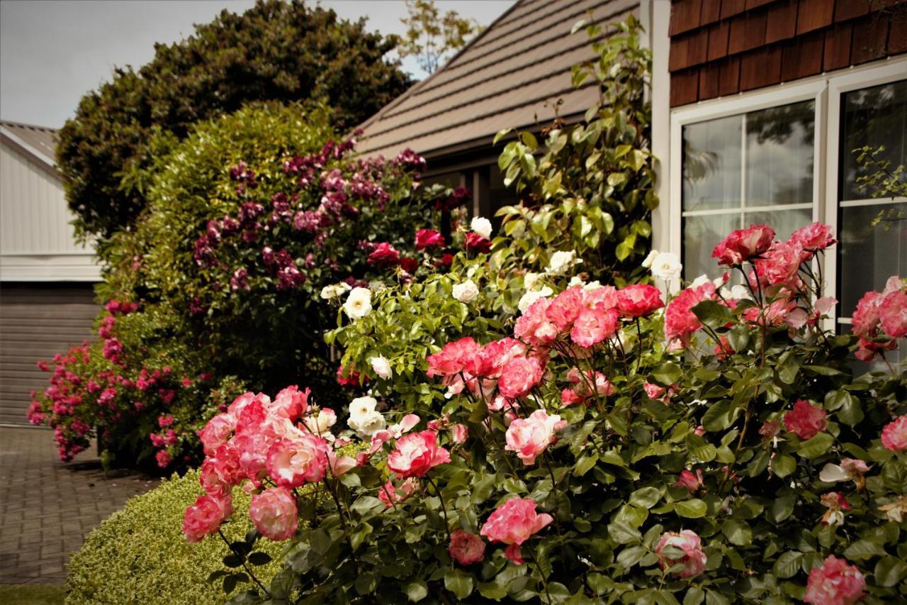 The Loft Bed And Breakfast Taupo Exterior photo