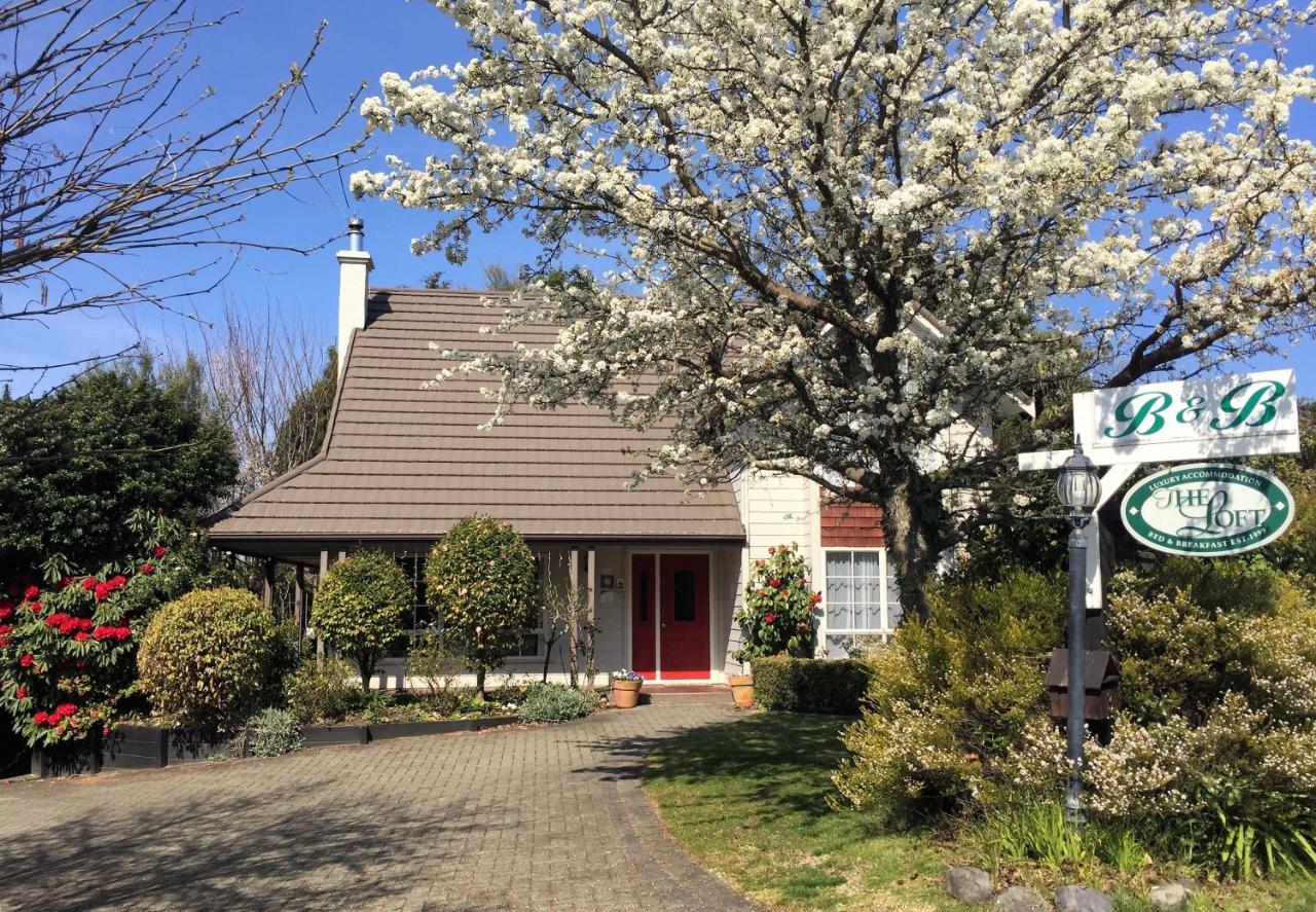 The Loft Bed And Breakfast Taupo Exterior photo